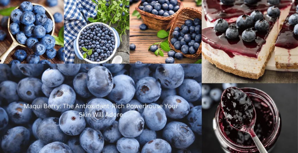 Maqui Berry Weight Loss